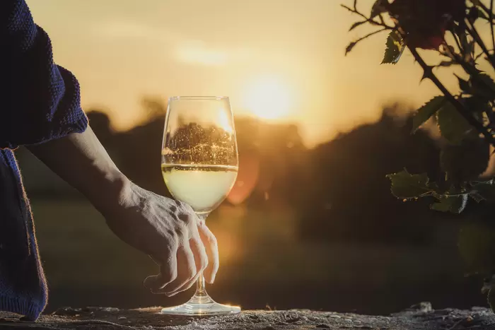 Jordan Untermühle - Wein - Glas Wein bei Sonnenuntergang